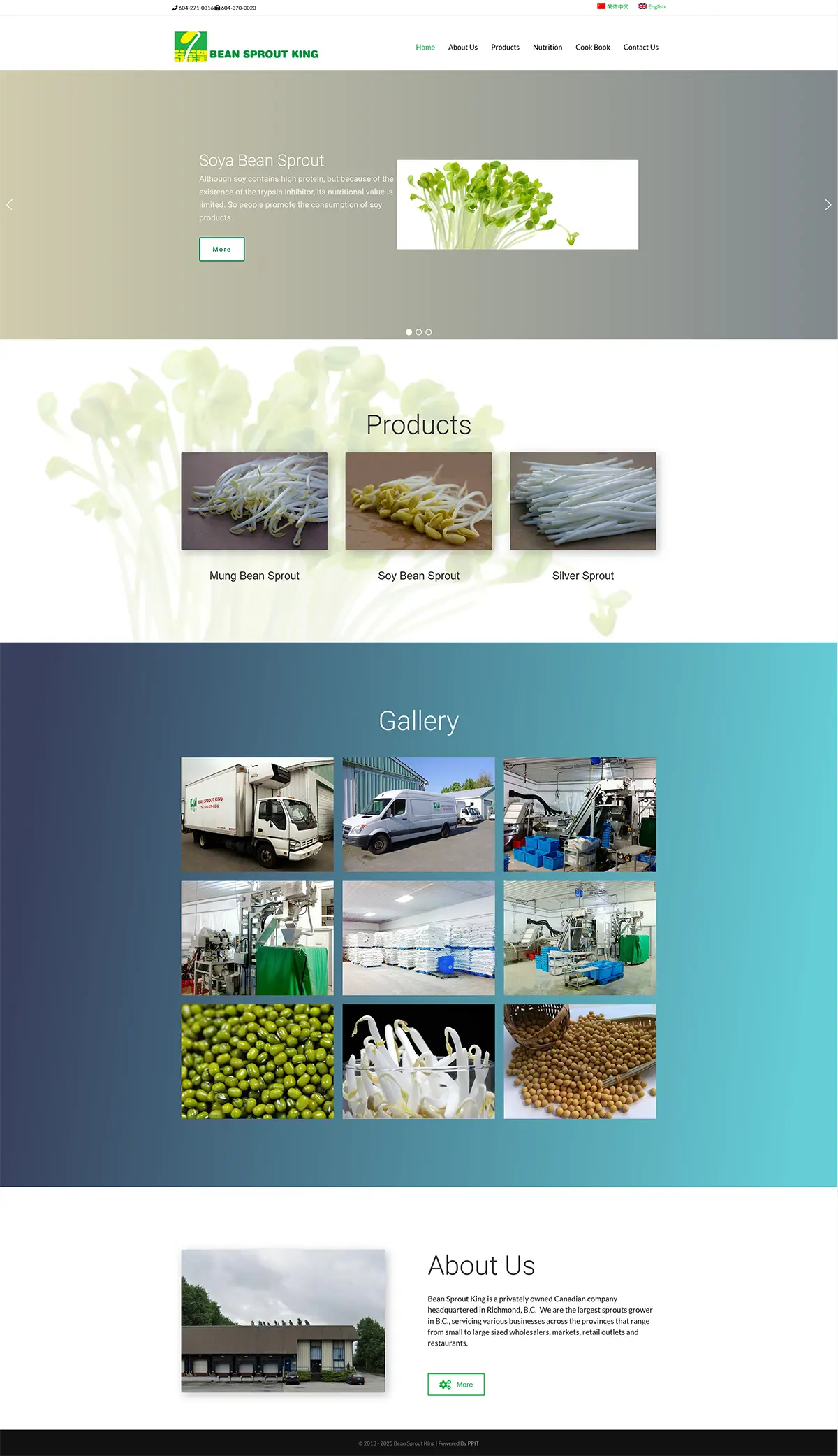 工业类网站设计